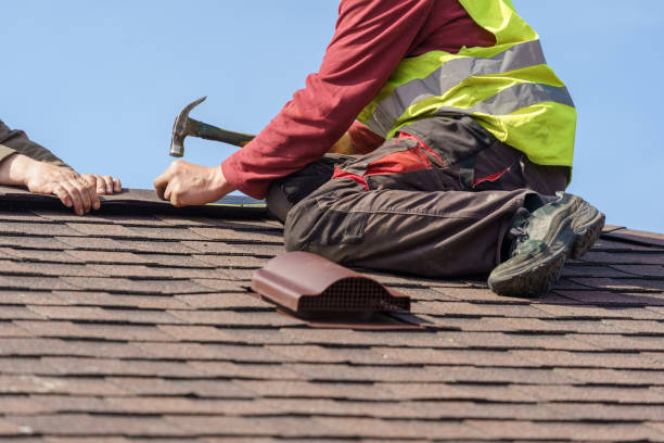 Best Metal Roofing Contractor  in Cape Girardeau, MO